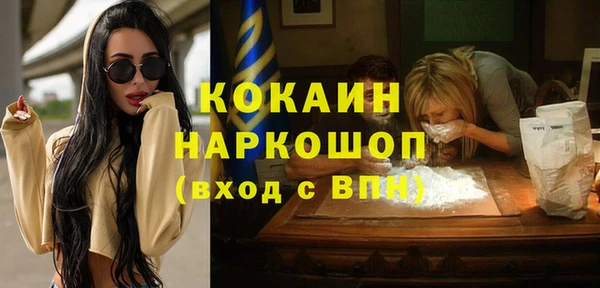тгк Бикин